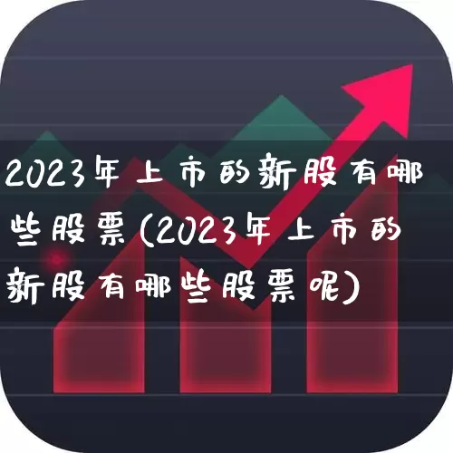 2023年上市的新股有哪些股票(2023年上市的新股有哪些股票呢)_https://www.xzdzchf.com_北交所_第1张