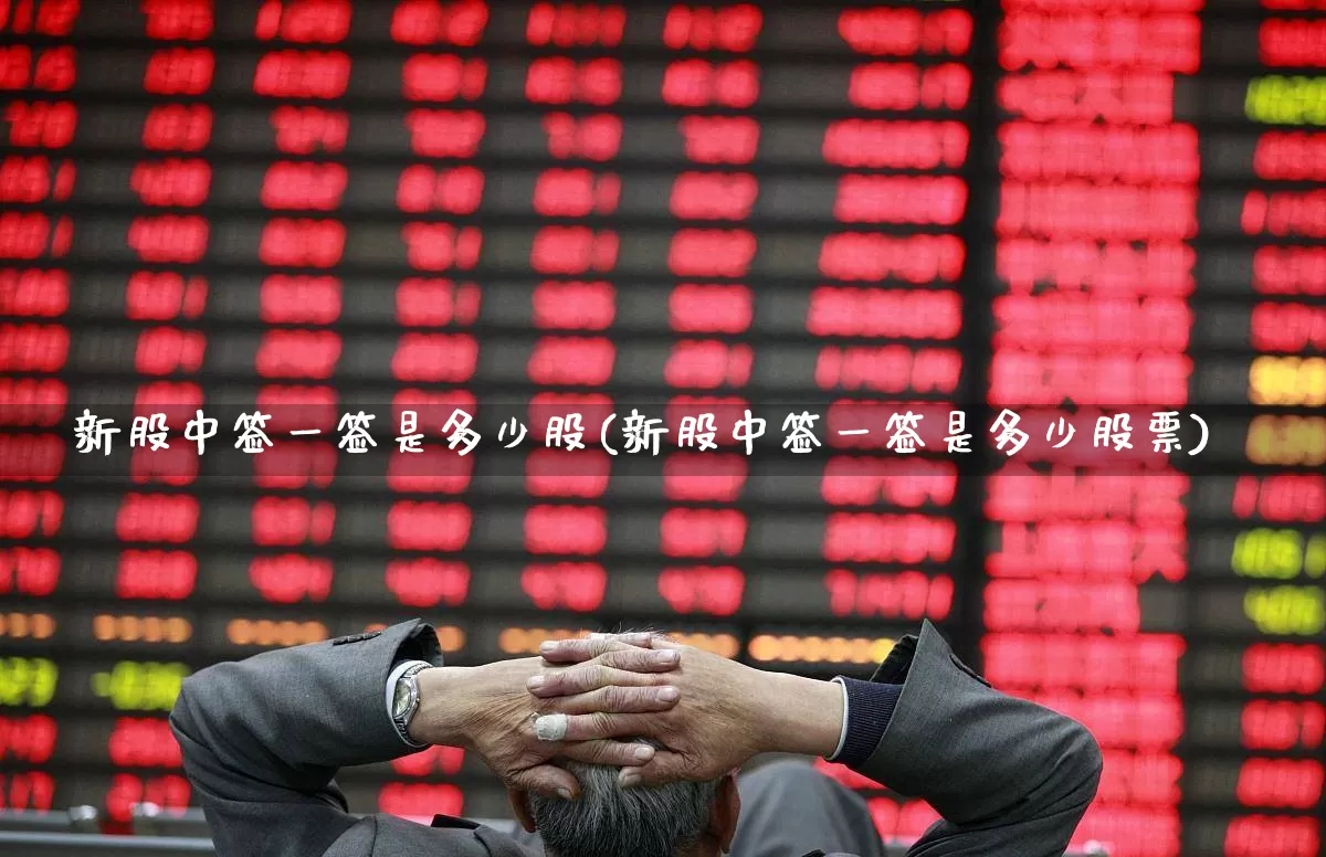 新股中签一签是多少股(新股中签一签是多少股票)_https://www.xzdzchf.com_上交所_第1张
