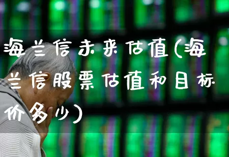 海兰信未来估值(海兰信股票估值和目标价多少)_https://www.xzdzchf.com_北交所_第1张