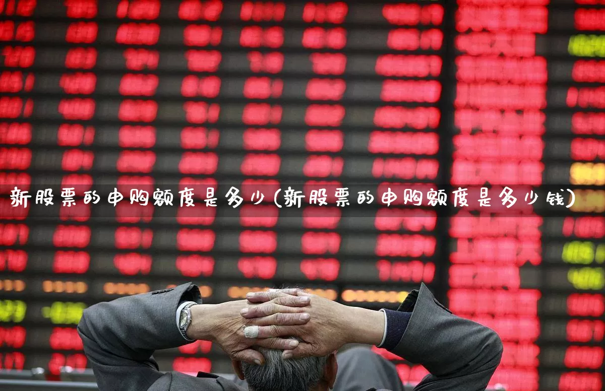 新股票的申购额度是多少(新股票的申购额度是多少钱)_https://www.xzdzchf.com_北交所_第1张