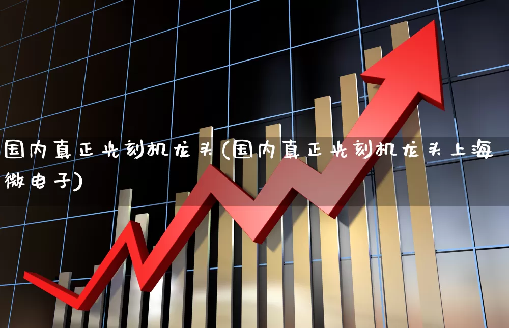 国内真正光刻机龙头(国内真正光刻机龙头上海微电子)_https://www.xzdzchf.com_创业板_第1张
