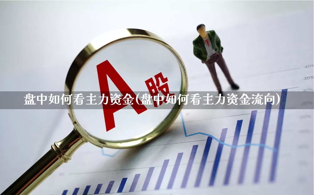 盘中如何看主力资金(盘中如何看主力资金流向)_https://www.xzdzchf.com_科创板_第1张