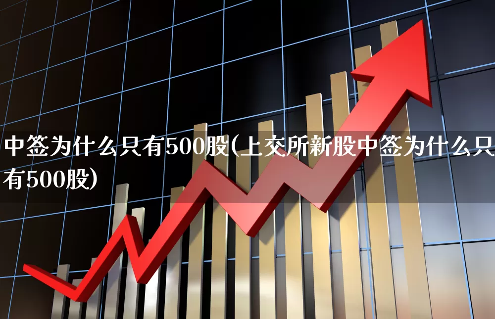 中签为什么只有500股(上交所新股中签为什么只有500股)_https://www.xzdzchf.com_北交所_第1张