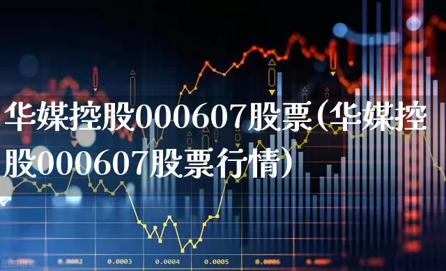 华媒控股000607股票(华媒控股000607股票行情)_https://www.xzdzchf.com_创业板_第1张