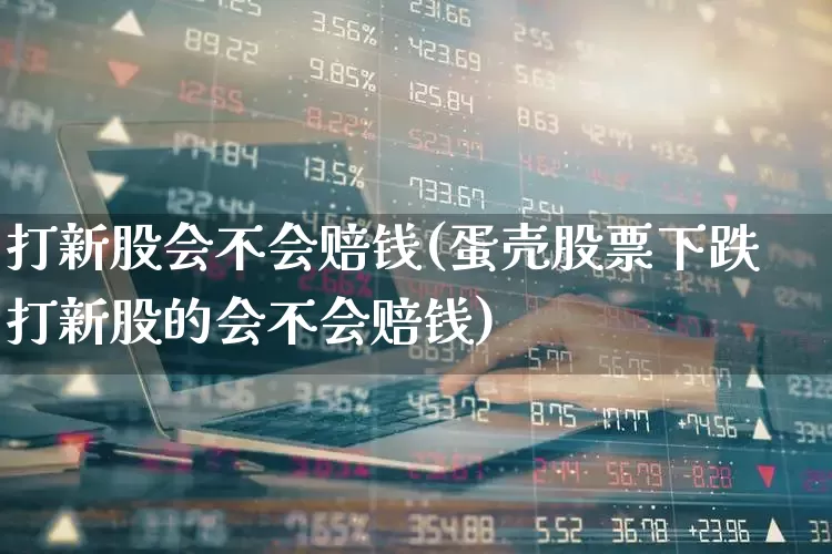 打新股会不会赔钱(蛋壳股票下跌打新股的会不会赔钱)_https://www.xzdzchf.com_北交所_第1张