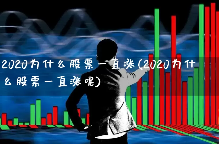 2020为什么股票一直涨(2020为什么股票一直涨呢)_https://www.xzdzchf.com_北交所_第1张