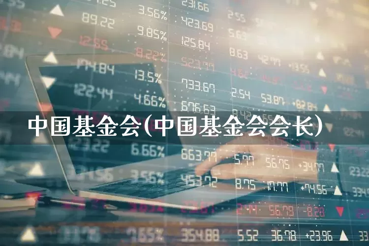中国基金会(中国基金会会长)_https://www.xzdzchf.com_创业板_第1张