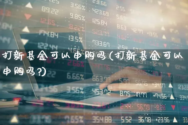 打新基金可以申购吗(打新基金可以申购吗?)_https://www.xzdzchf.com_科创板_第1张