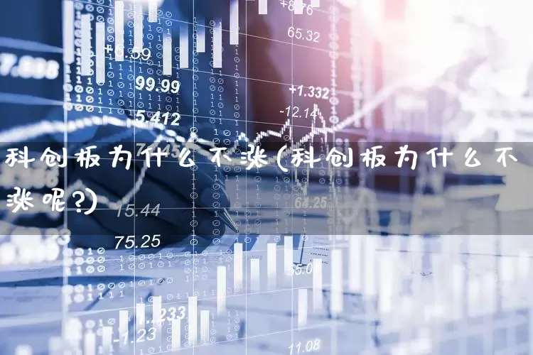 科创板为什么不涨(科创板为什么不涨呢?)_https://www.xzdzchf.com_深交所_第1张