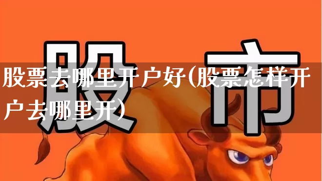 股票去哪里开户好(股票怎样开户去哪里开)_https://www.xzdzchf.com_创业板_第1张
