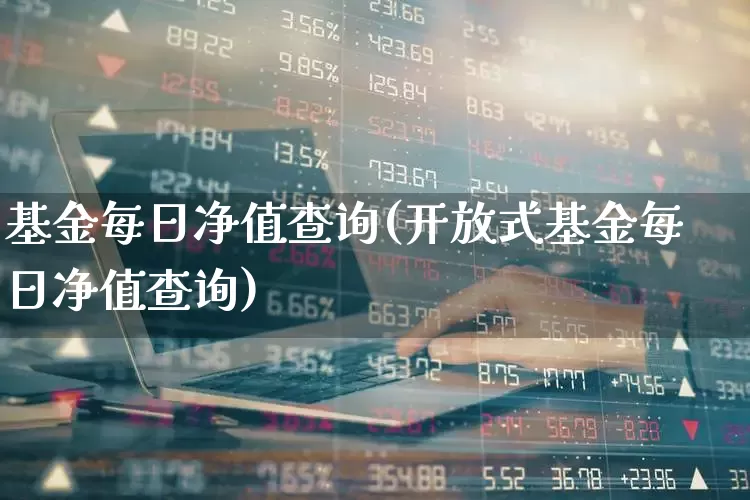 基金每日净值查询(开放式基金每日净值查询)_https://www.xzdzchf.com_科创板_第1张