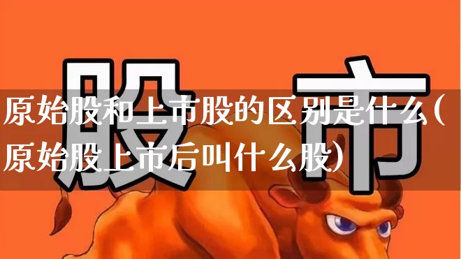 原始股和上市股的区别是什么(原始股上市后叫什么股)_https://www.xzdzchf.com_创业板_第1张