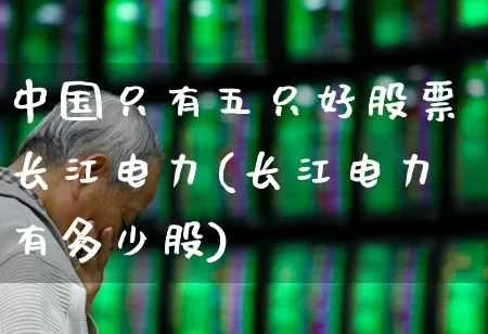 中国只有五只好股票长江电力(长江电力有多少股)_https://www.xzdzchf.com_创业板_第1张