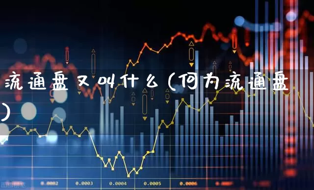流通盘又叫什么(何为流通盘)_https://www.xzdzchf.com_创业板_第1张