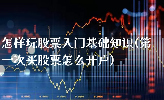 怎样玩股票入门基础知识(第一次买股票怎么开户)_https://www.xzdzchf.com_北交所_第1张
