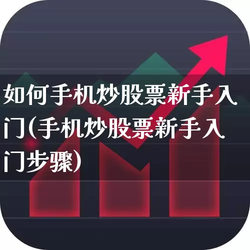 如何手机炒股票新手入门(手机炒股票新手入门步骤)_深交所_第1张_财经网 如何手机炒股票新手入门(手机炒股票新手入门步骤)_https://www.xzdzchf.com_深交所_第1张