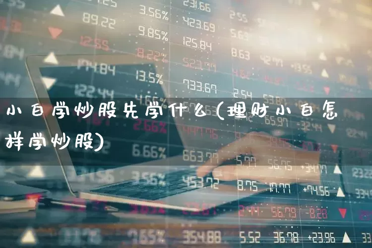 小白学炒股先学什么(理财小白怎样学炒股)_https://www.xzdzchf.com_深交所_第1张