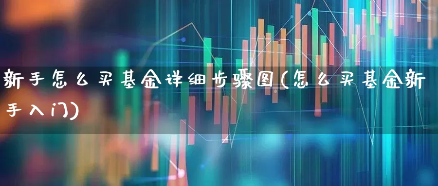 新手怎么买基金详细步骤图(怎么买基金新手入门)_https://www.xzdzchf.com_创业板_第1张
