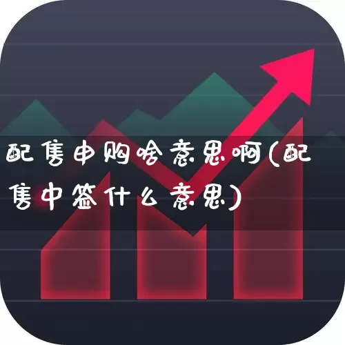 配售申购啥意思啊(配售中签什么意思)_https://www.xzdzchf.com_北交所_第1张