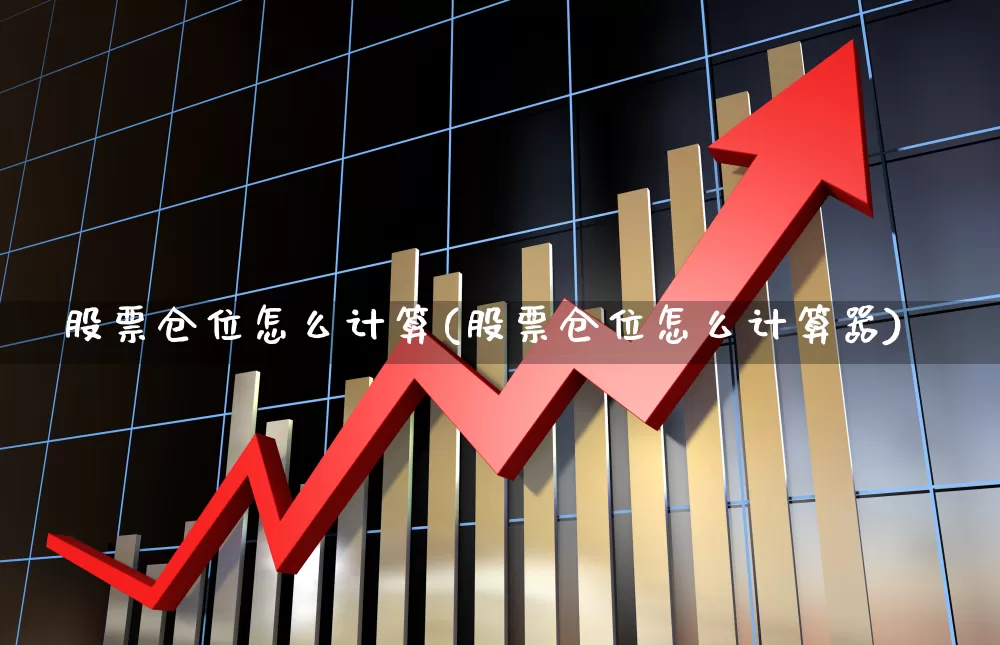 股票仓位怎么计算(股票仓位怎么计算器)_https://www.xzdzchf.com_深交所_第1张