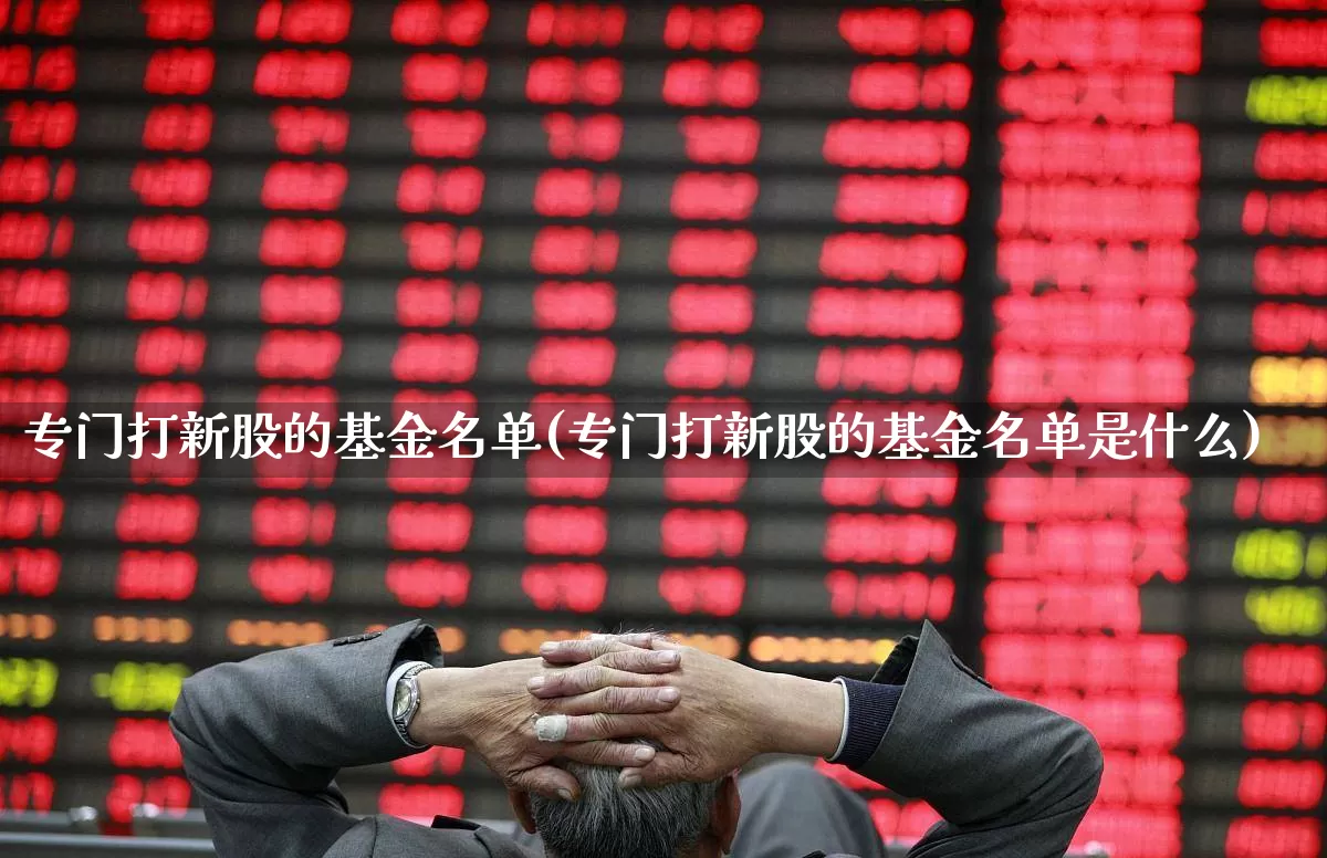 专门打新股的基金名单(专门打新股的基金名单是什么)_https://www.xzdzchf.com_创业板_第1张