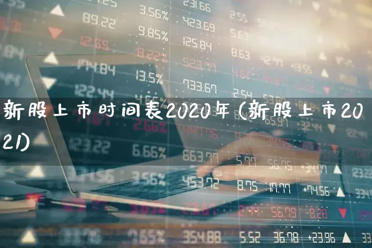 新股上市时间表2020年(新股上市2021)_https://www.xzdzchf.com_北交所_第1张