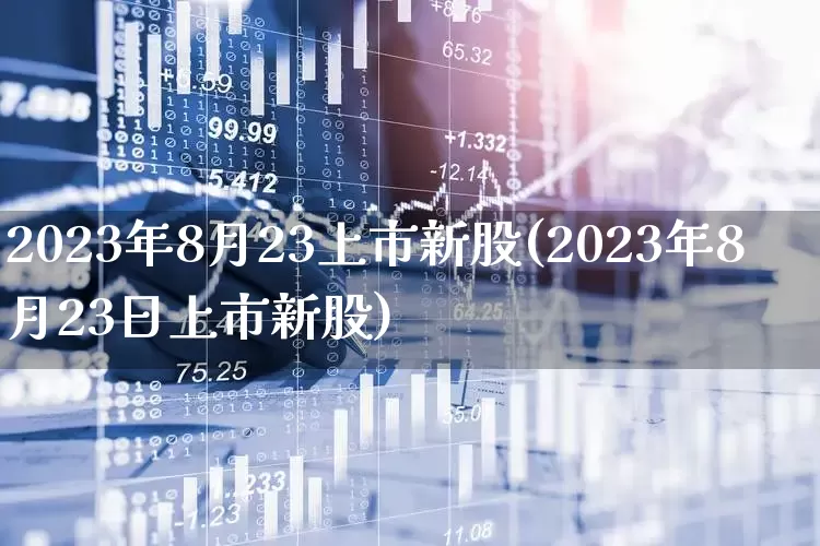 2023年8月23上市新股(2023年8月23日上市新股)_https://www.xzdzchf.com_北交所_第1张