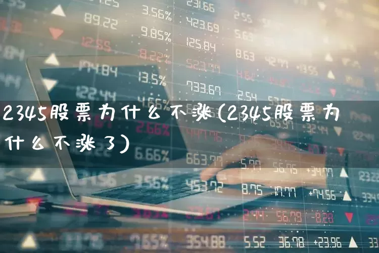 2345股票为什么不涨(2345股票为什么不涨了)_https://www.xzdzchf.com_北交所_第1张