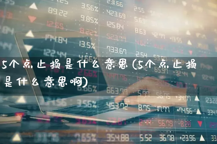 5个点止损是什么意思(5个点止损是什么意思啊)_https://www.xzdzchf.com_创业板_第1张