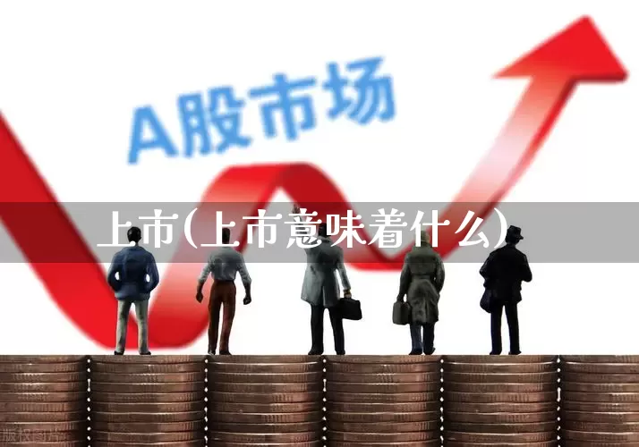 上市(上市意味着什么)_https://www.xzdzchf.com_科创板_第1张