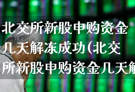 北交所新股申购资金几天解冻成功(北交所新股申购资金几天解冻成功啊)_https://www.xzdzchf.com_创业板_第1张