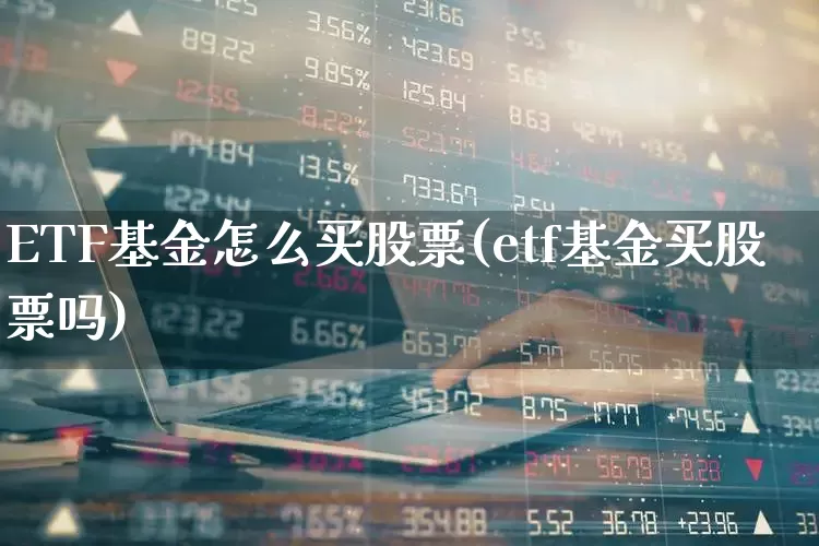 ETF基金怎么买股票(etf基金买股票吗)_https://www.xzdzchf.com_北交所_第1张