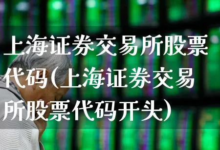 上海证券交易所股票代码(上海证券交易所股票代码开头)_https://www.xzdzchf.com_上交所_第1张
