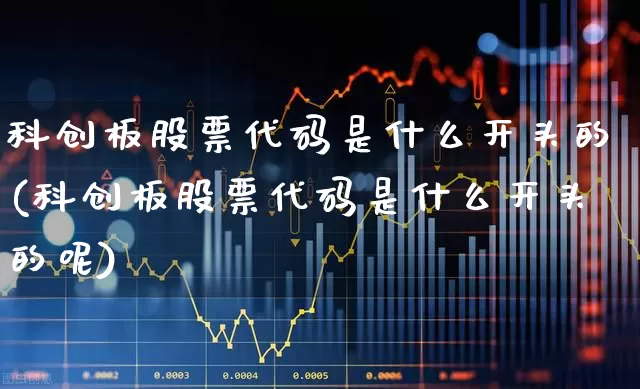 科创板股票代码是什么开头的(科创板股票代码是什么开头的呢)_https://www.xzdzchf.com_北交所_第1张