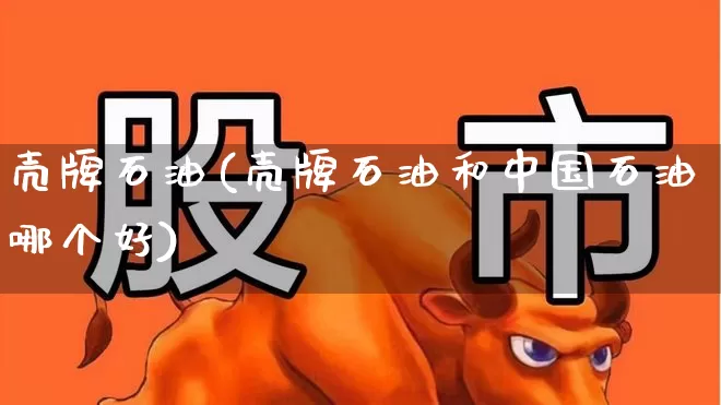 壳牌石油(壳牌石油和中国石油哪个好)_https://www.xzdzchf.com_深交所_第1张