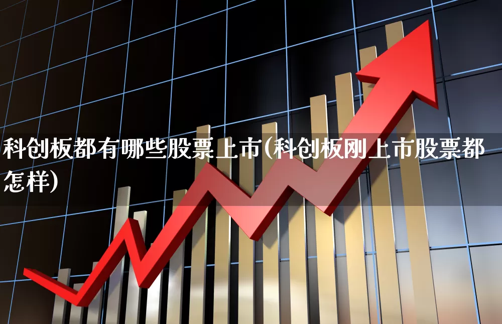 科创板都有哪些股票上市(科创板刚上市股票都怎样)_https://www.xzdzchf.com_上交所_第1张
