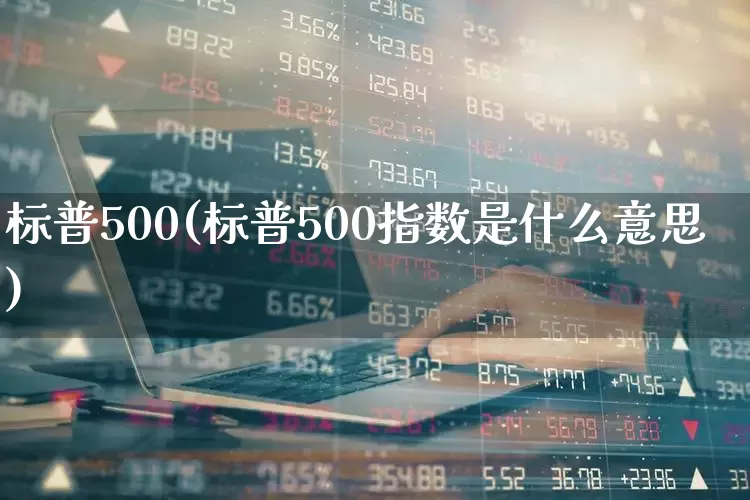 标普500(标普500指数是什么意思)_https://www.xzdzchf.com_北交所_第1张