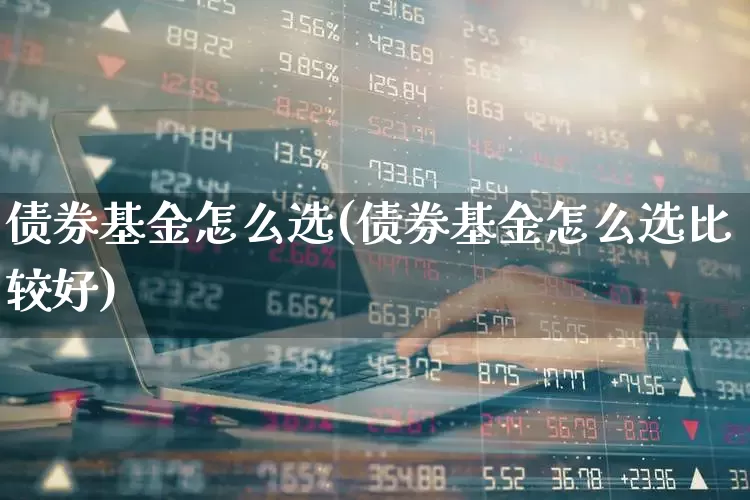 债券基金怎么选(债券基金怎么选比较好)_https://www.xzdzchf.com_创业板_第1张