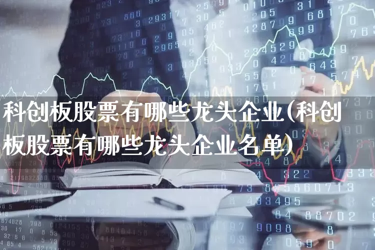 科创板股票有哪些龙头企业(科创板股票有哪些龙头企业名单)_https://www.xzdzchf.com_科创板_第1张