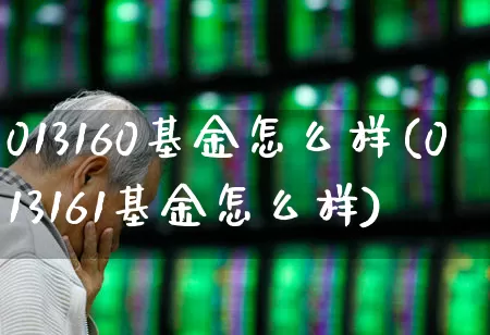 013160基金怎么样(013161基金怎么样)_https://www.xzdzchf.com_科创板_第1张
