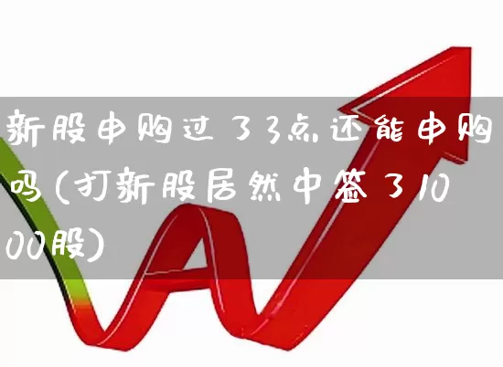 新股申购过了3点还能申购吗(打新股居然中签了1000股)_https://www.xzdzchf.com_上交所_第1张