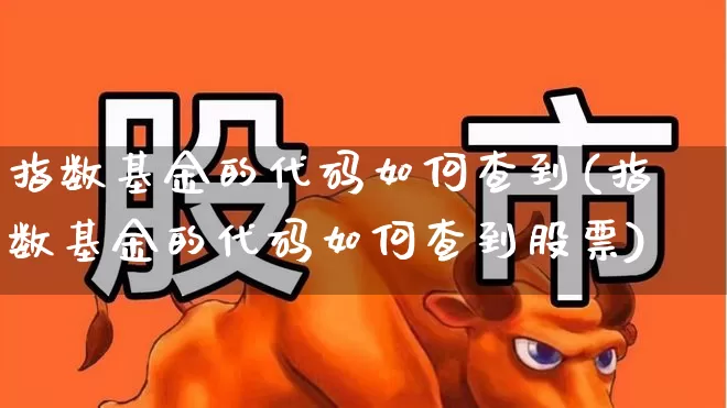 指数基金的代码如何查到(指数基金的代码如何查到股票)_https://www.xzdzchf.com_创业板_第1张