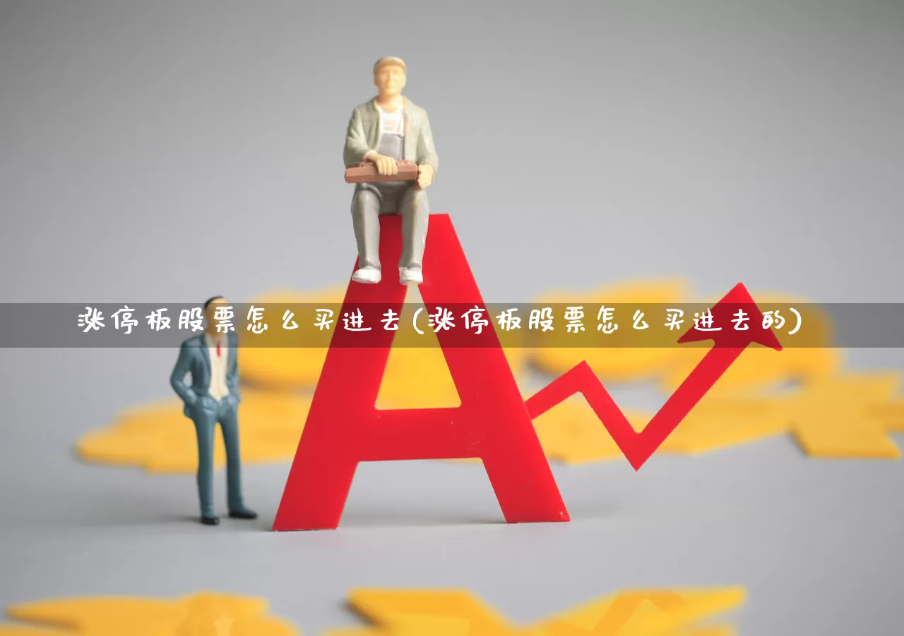涨停板股票怎么买进去(涨停板股票怎么买进去的)_https://www.xzdzchf.com_上交所_第1张