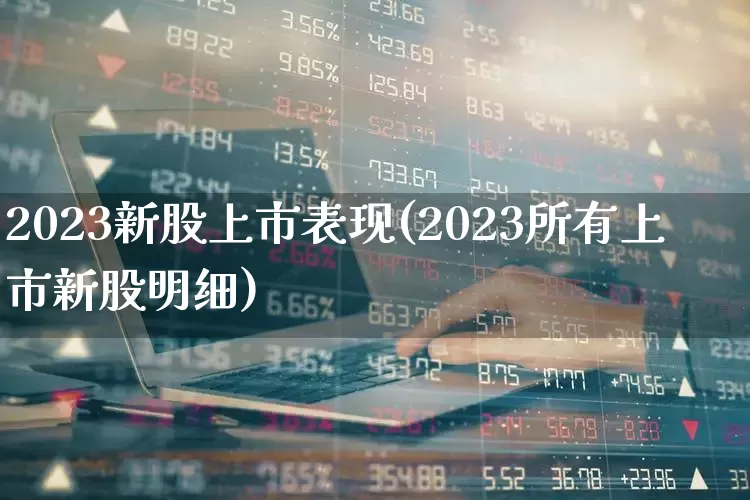 2023新股上市表现(2023所有上市新股明细)_https://www.xzdzchf.com_上交所_第1张